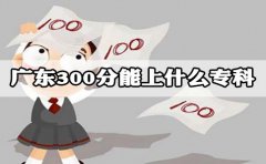 浙江300分能上什么专科?