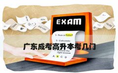 浙江成考高升本考几门