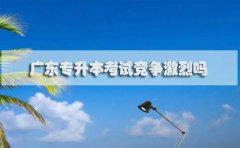 浙江专升本考试竞争激烈吗