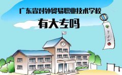 浙江省对外贸易职业技术学校有大专吗