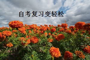 自学考试 自学考试