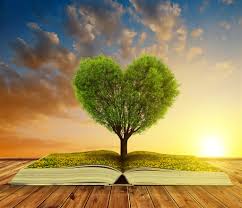 杭州自考新旧计划（或新旧课程）是怎样衔接（或对接）的杭州自考新旧计划（或新旧课程）是怎样衔接（或对接）的