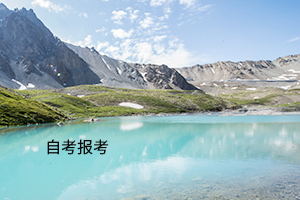 自学考试 自学考试