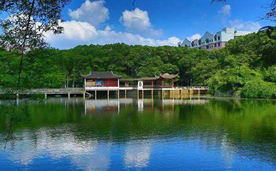 学院风景 学院风景