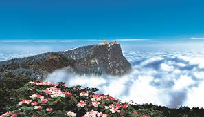 绍兴自考毕业之后待遇如何 绍兴自考毕业之后待遇如何