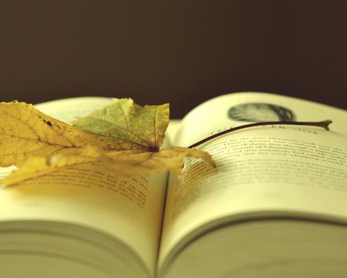 浙江自学考试都有什么类型?分别是什么含义? 浙江自学考试都有什么类型?分别是什么含义?