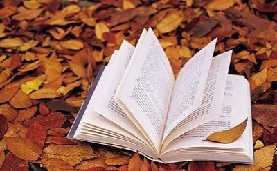 落叶和书本 落叶和书本