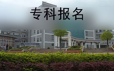 学院绿植 学院绿植