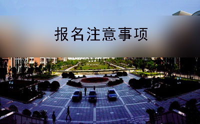 学院广场的风景 学院广场的风景