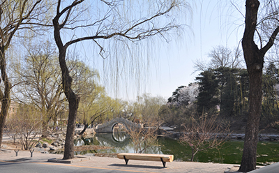 学院树木 学院树木