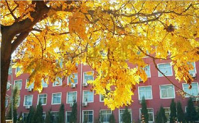 院校风景 院校风景