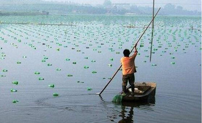 绿色养殖 绿色养殖