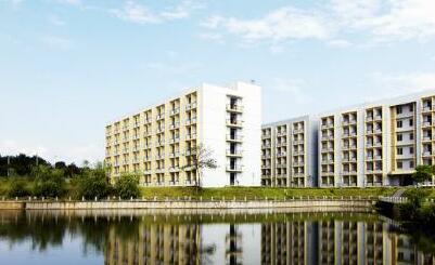 浙江农大校内湖泊 浙江农大校内湖泊