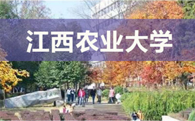 浙江农业大学风景 浙江农业大学风景